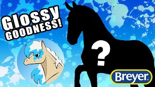 Which Glossies Did we Get? | CC Appreciation 2019