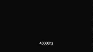 45000 Hz
