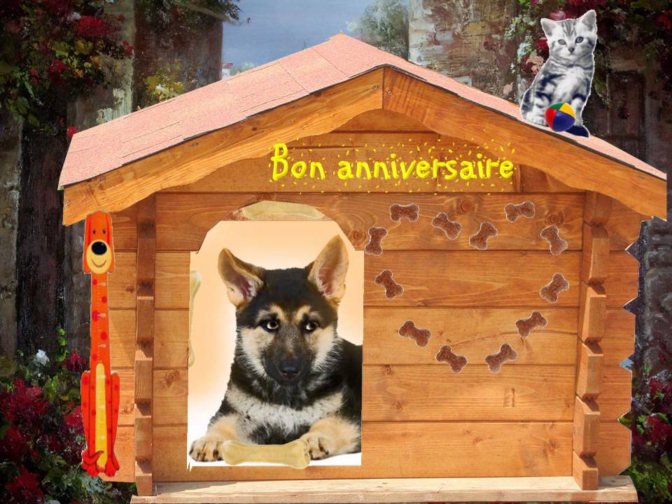 message d'anniversaire pour sa mere