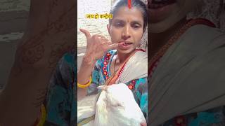 कपय सपरटकर