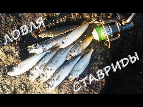 джиг для ловли на черном море джиг для ловли на черном море