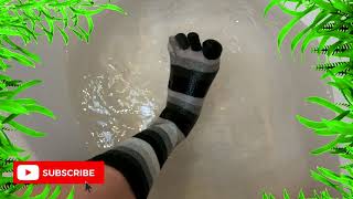 Wetlook - My Funny Cute Socks