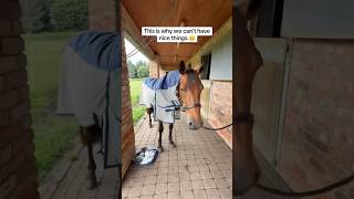 Life With Horses..