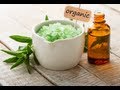 How to Make Peppermint Essential Oil - Benefits Of Peppermint Oil download mp3 dan video How to Make Peppermint Essential Oil - Benefits Of Peppermint Oil