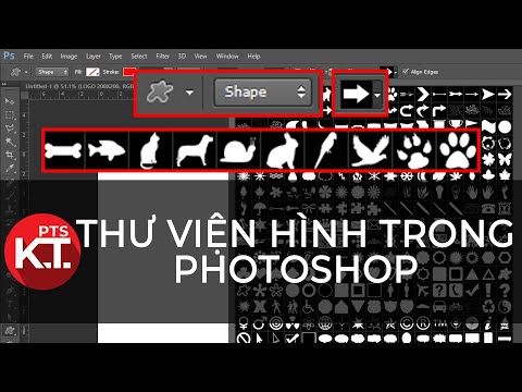 ✅ Vẽ hình trong photoshop, vẽ đường cong trong photoshop | Photoshop cơ bản