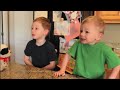 Videos