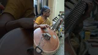 Veena Instrument Basics
