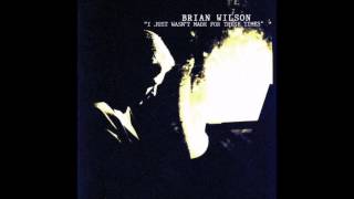 Watch Brian Wilson Still I Dream Of It video