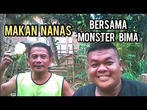 Makan Nanas Bersama Monster Bima