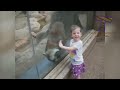 Funniest Videos for Pets to Watch Compilation | Funny Pet Videos