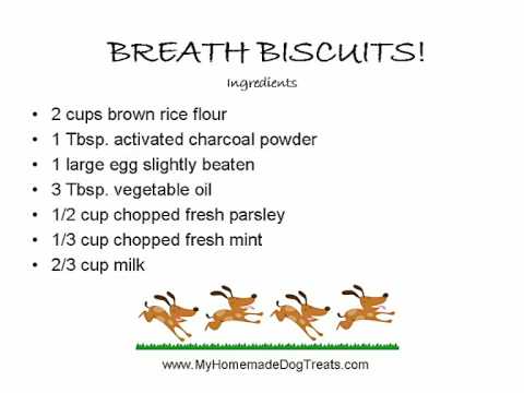 Homemade gluten free dog biscuit recipes
