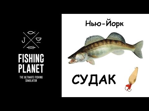 как ловить горбыль в fishing planet как ловить горбыль в fishing planet