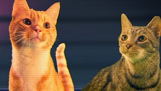 Mighty Morphin Meower Rangers | Ep 4 – Power Out