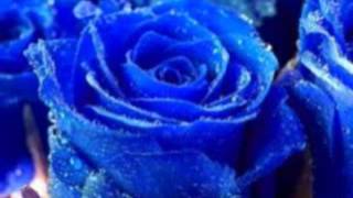 Watch Ednita Nazario Quien Te Robo El Corazon video