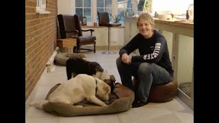 Puppy Training - Health & Nutrition Trailer