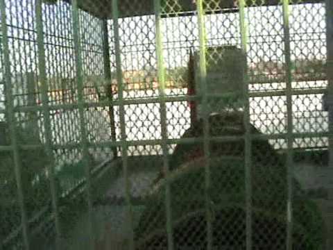 (DawateIslami) Mazar of Ouliya e Karam علیہم الرضوان