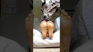 Dog Licks Girls Feet Clean