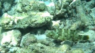 Maldives 2012 - 76
