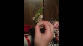 Talking Flowers