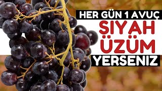 Siyah Üzüm Vücudunuza Bunları Yapıyor Siyah Üzümün Faydaları Nelerdir?