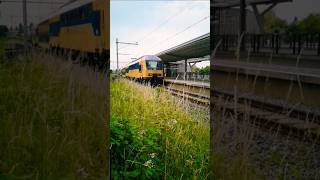Ddz Komt Door Station Harderwijk