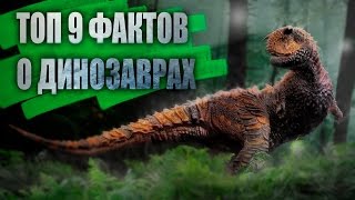 9 Фактов О Динозаврах