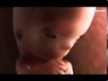 Elképesztő videó 3 percben arról, hogy mi zajlik az anyukák pocakjában 9 hónap alatt.