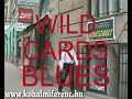 Kőhalmi Ferenc - Wild Cards