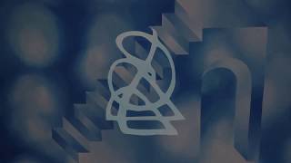Video Opening Night - Ana Maria Silva, Umoyagua & Altard Spaces - Nov 29 2019 - Video By Sol Ophis