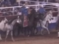 GRAPHIC -- Criminal Horse Abuse at Oklahoma Prison Rodeo
