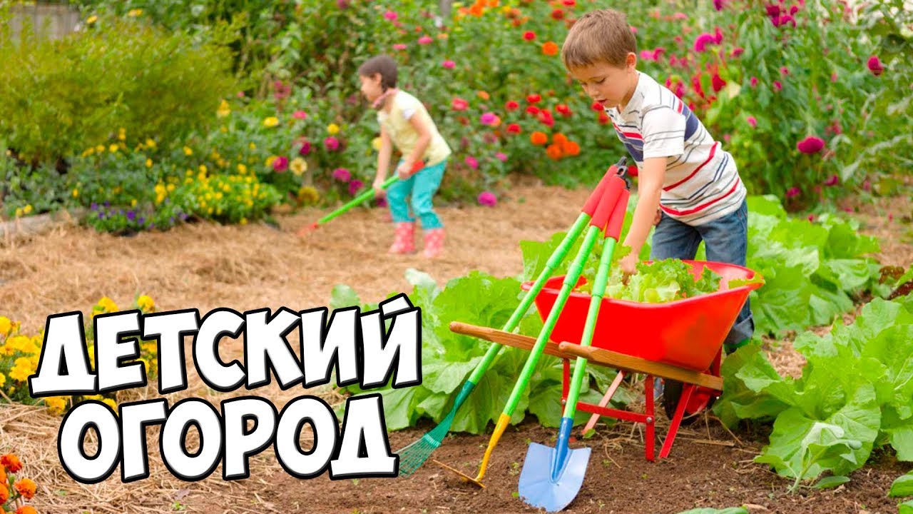 Все про огород на ютубе Все про огород на ютубе