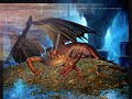 The lord of the rings - theme song (the breaking of the