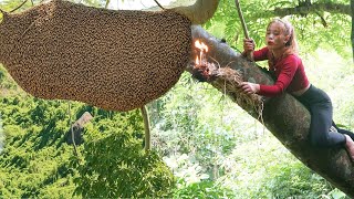 Catch Wild Bee, Harvesting Pure Forest Honey Goes To Market Sell