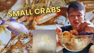 Catching Small Crabs Kasag