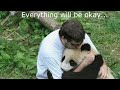 Animals Hugging People 2018 New HD