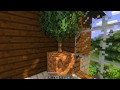 Woods