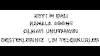 Son Daki̇ka 186 Pyd-Pkklı Teröristlerin Vurulma Anı