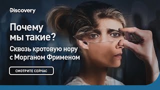 Почему Мы Такие, Какие Есть? | Сквозь Кротовую Нору С Морганом Фрименом | Discovery