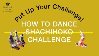 How To Dance Shachihoko Challenge