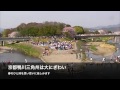 京都：春の鴨川デルタは大にぎわい