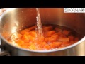 cuisiner fanes carottes