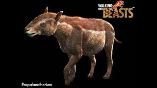 Walking With Beasts - Eurohippus Parvulum