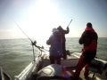 lake erie walleye fishing huron,ohio