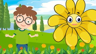 Sordum Sarı Çiçeğe Annen Baban Var Mıdır - Çocuk İlahisi / Yeni Animasyon