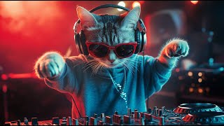 Dj Miaww Live Hypnotic Beats Techno Energy For The Night Dance With The Coolest Cat Dj
