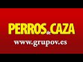caza