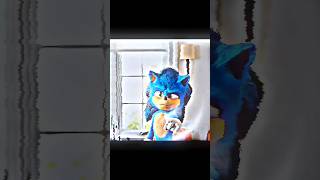 Sonic Races A Turtle Sonic Aura Moment 999