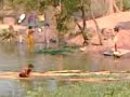 Mallu Bengali Village Aunty Bathing In Pond images Mallu Bengali Village Aunty Bathing In Pond