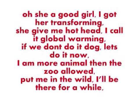 Wasted Lil Wayne with lyrics