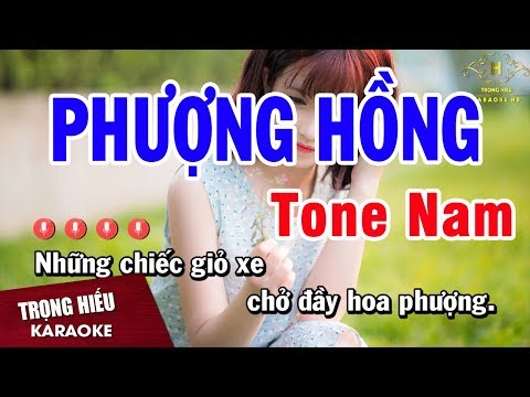 Karaoke Phượng Hồng Tone Nam Nhạc Sống | Trọng Hiếu